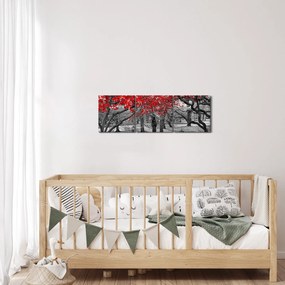 Kép - vörös fák,Central Park, New York (órával) (90x30 cm)