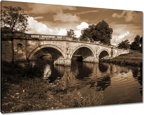 Vászonkép 100x70 Híd a folyón szépia