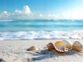 Vászonkép Canvas Tenger Víz Tengerpart Homok Kagyló Kagylók 100x75