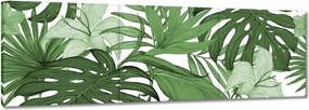 Vászonkép 60x20 Monstera Modern minta