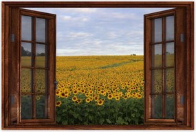 Poszterek 60x40 Napraforgó mező