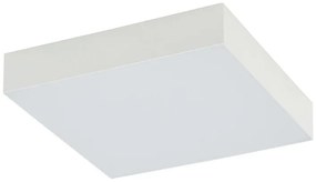 Lid