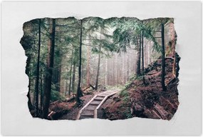 Poszterek 120x80 Erdei ösvény