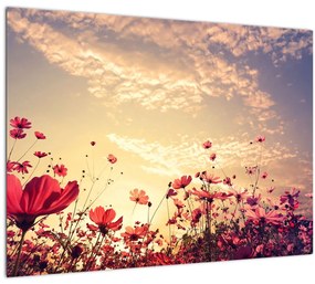 Kép - Rét virágokkal (üvegen) (70x50 cm)