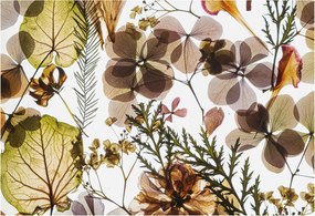 Fali fotótapéta Flizelina a konyhába Természetes kompozíció 152x104 Ragasztó