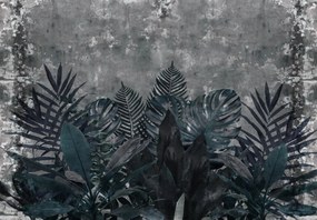 Fotótapéta - Növények a sötétben (147x102 cm)