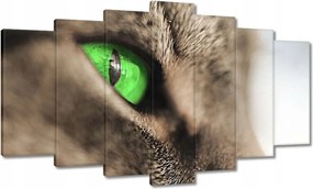 Festmények 140x80 Macska tekintet