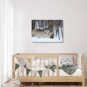 Üveg kép - Farkasok télen (70x50 cm)