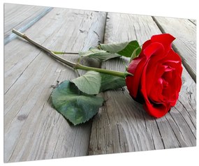 Rózsás képe (90x60 cm)