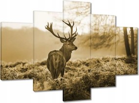 Képek 150x105 Szarvas az erdőben