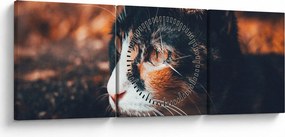 Kép - A macska látképe (órával) (90x30 cm)