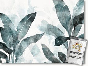 Fotótapéta Flizelina Természet Növényzet Banånlevél 104x70,5 ragasztó