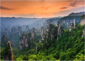 Üveg kép - Zhangjiajie Nemzeti Erdei Park (70x50 cm)
