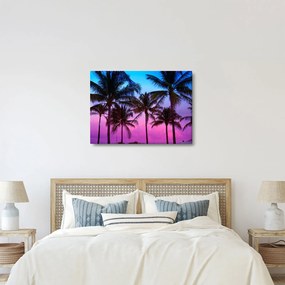 Kép - Pálmafák Miamiban (70x50 cm)