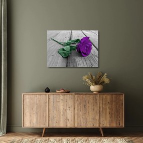 Üveg kép - Lila rózsa zöld szárral (70x50 cm)