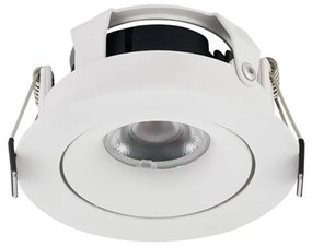 Lonza LED