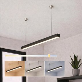 Brilagi - FULLDAY LED függeszték 10/15/20W, 230V, 2700/4000/6000K, 60cm, fekete