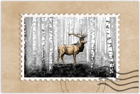 Poszter 60x40 Szarvas Nyírfa Erdő