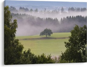 Egy kép a rétről egy fával (70x50 cm)