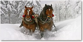 Fotó-kép fotó edzett üveg Kulig 140x70