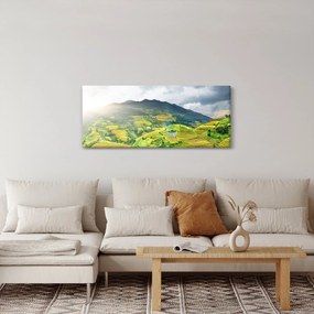 Ültetvények képe (120x50 cm)