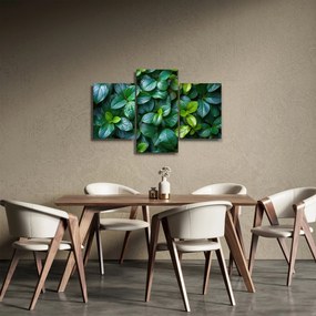 Kép - Zöld növények (90x60 cm)
