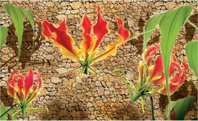 Fotótapéta Gloriózis tűz virágok Kő háttér egzotikus 200x140 +ragasztó