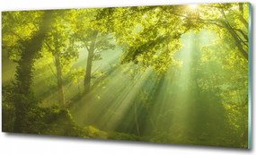 Fotó üvegkép Tengerparti dűnék 100x70