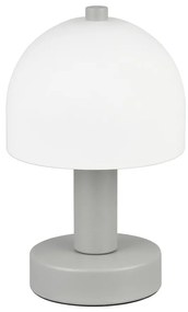 Szürke asztali lámpa üveg búrával (magasság 19 cm) Glenn – Trio