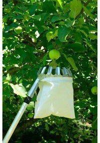 Gyümölcsszedő – Garden Pleasure