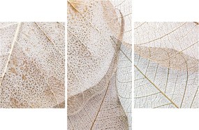 Kép - Bézs levelek (90x60 cm)