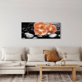 Kép - Narancssárga orchideák (120x50 cm)