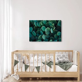 Kép - Opuntia (90x60 cm)