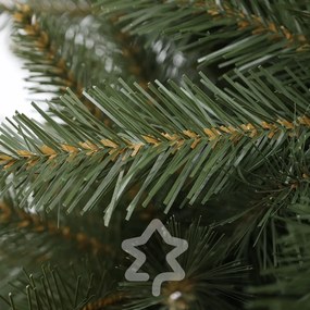 Kaukázusi lucfenyő 2D 210 cm