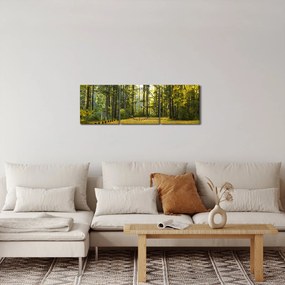 Kép - erdő ősszel (órával) (90x30 cm)