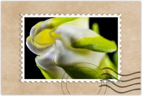 Poszterek 90x60 Nőnap Ajándék Love