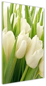 Egyedi üvegkép Fehér tulipán osv-49549577