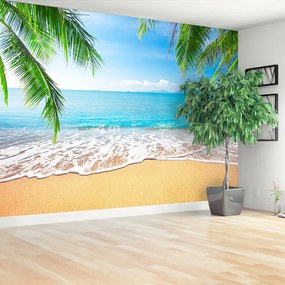 Fotótapéta Palm és a strand 104x70 cm