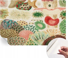 Fali fotótapéta Hálószobába Nappaliba Organikus formák 152x104 cm