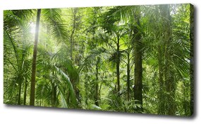 Egyedi vászonkép Trópusi erdő oc-72098525