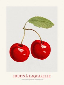 Festmény reprodukció Cherries (Watercolour Kitchen Fruit), (30 x 40 cm)