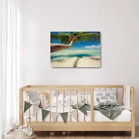 Üveg kép - Tiszta tenger pálmafával (70x50 cm)