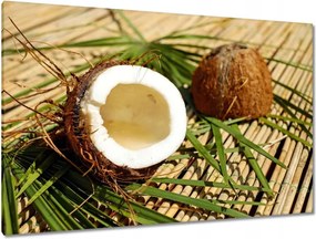 Képek 120x80 Kókusz variációk Konyha