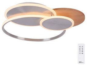 Paul Neuhaus Paul Neuhaus 8328-79 - LED Dimmelhető mennyezeti lámpa PALMA LED/50W/230V + távirányító W2290