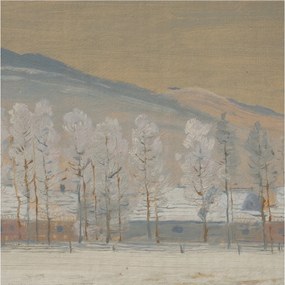 Fotótapéta Flizelin Dekoratív az irodába Téli táj 250x250 Ragasztó