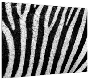Kép egy zebra bőrről (üvegen) (70x50 cm)