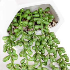Műnövény, függő növény, kerámiában, 12,2 cm - REMPANTE