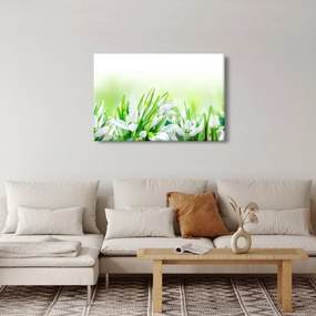 Kép - Hóvirág (90x60 cm)