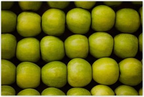 Poszterek 120x80 Zöld alma Alma