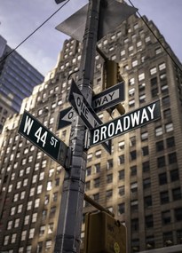 Poszter 39,5x55cm Utcatáblák New Yorkban 2, Assaf Frank